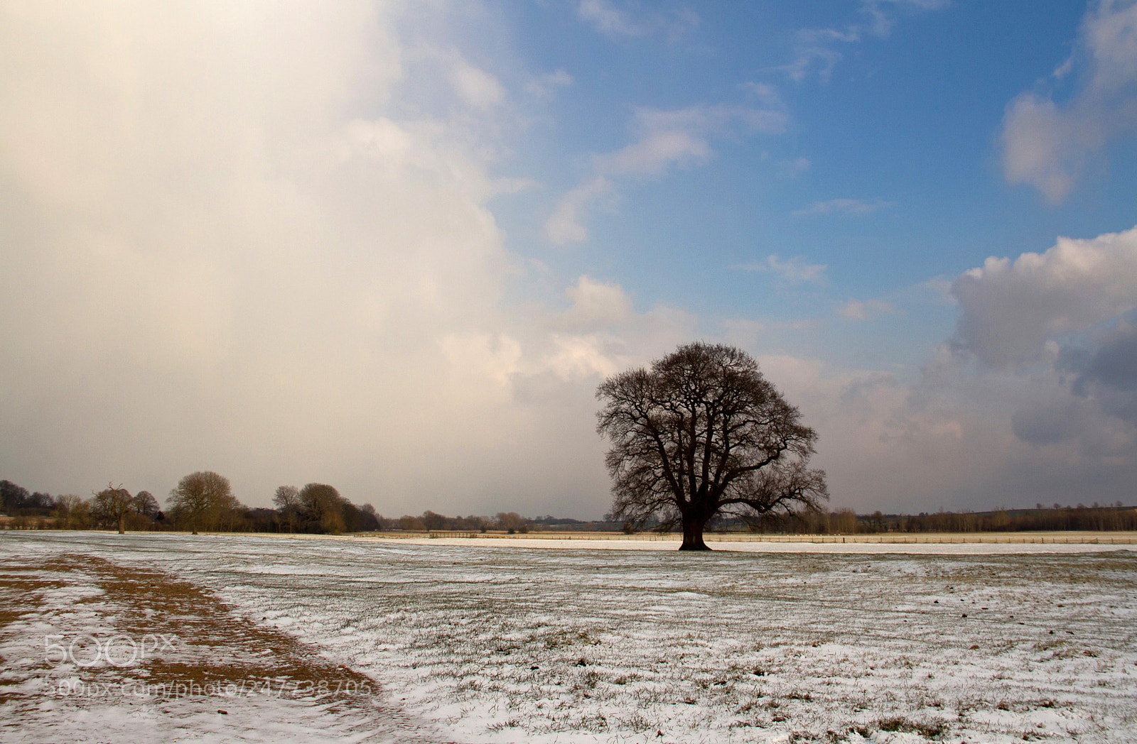 Canon EOS 7D sample photo. Between the snow showers photography