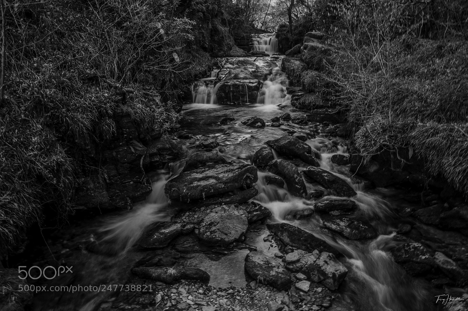 Canon EOS 5DS R sample photo. Watersmeet north devon photography