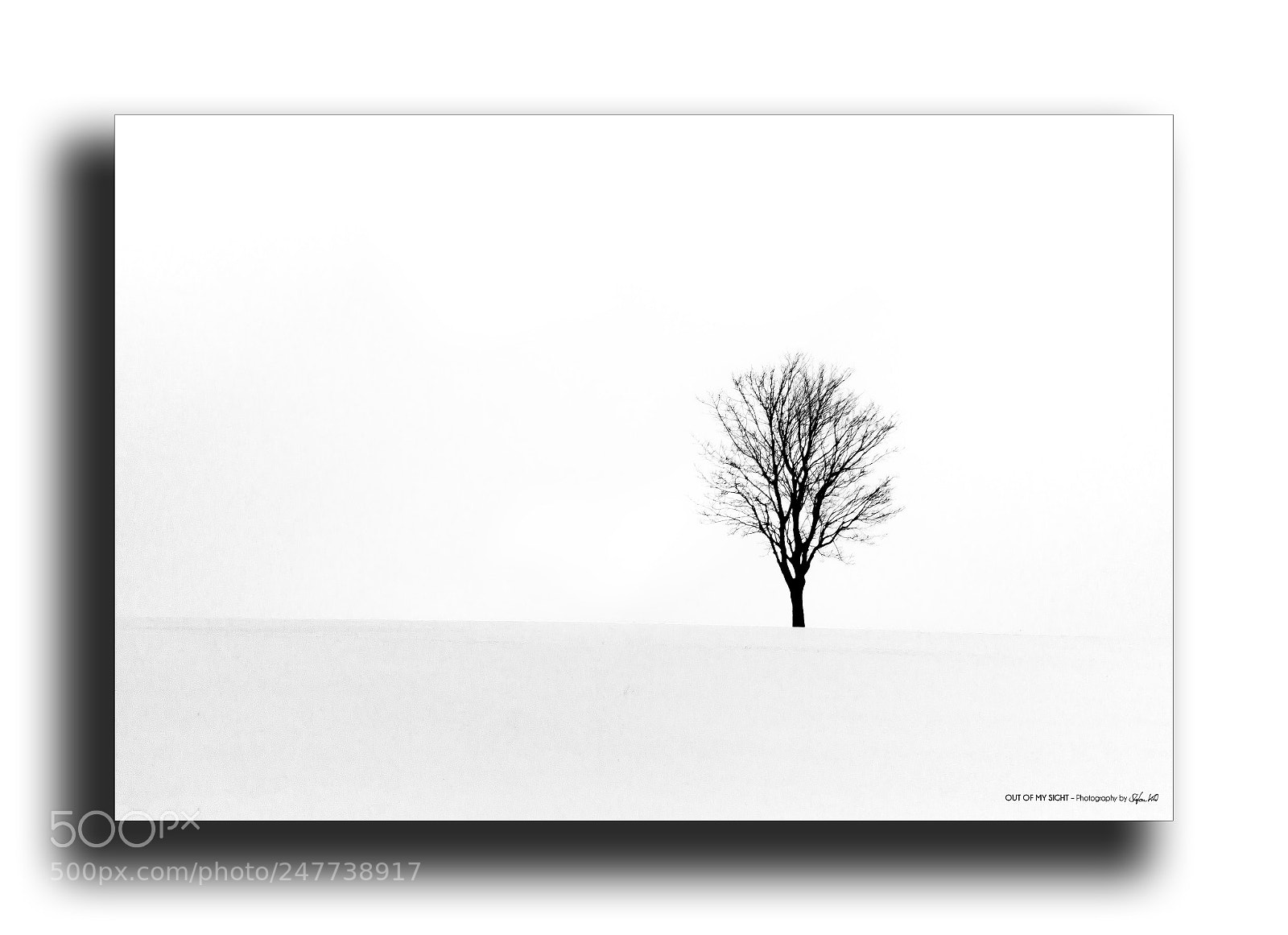Canon EOS 600D (Rebel EOS T3i / EOS Kiss X5) sample photo. - cold tree - photography