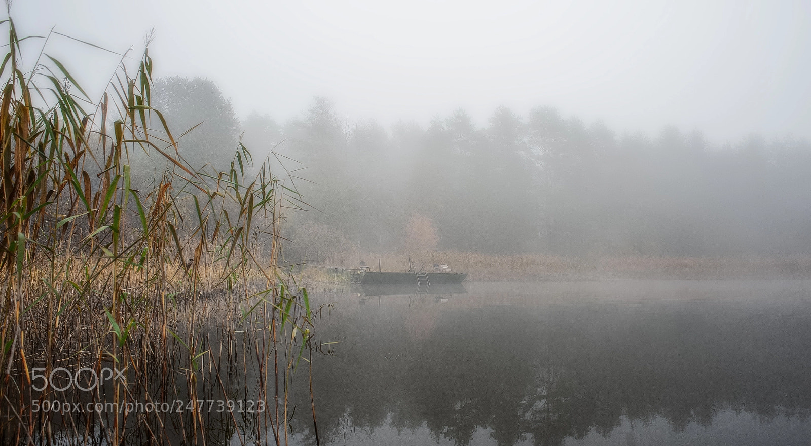Nikon D700 sample photo. A cool fishing place photography