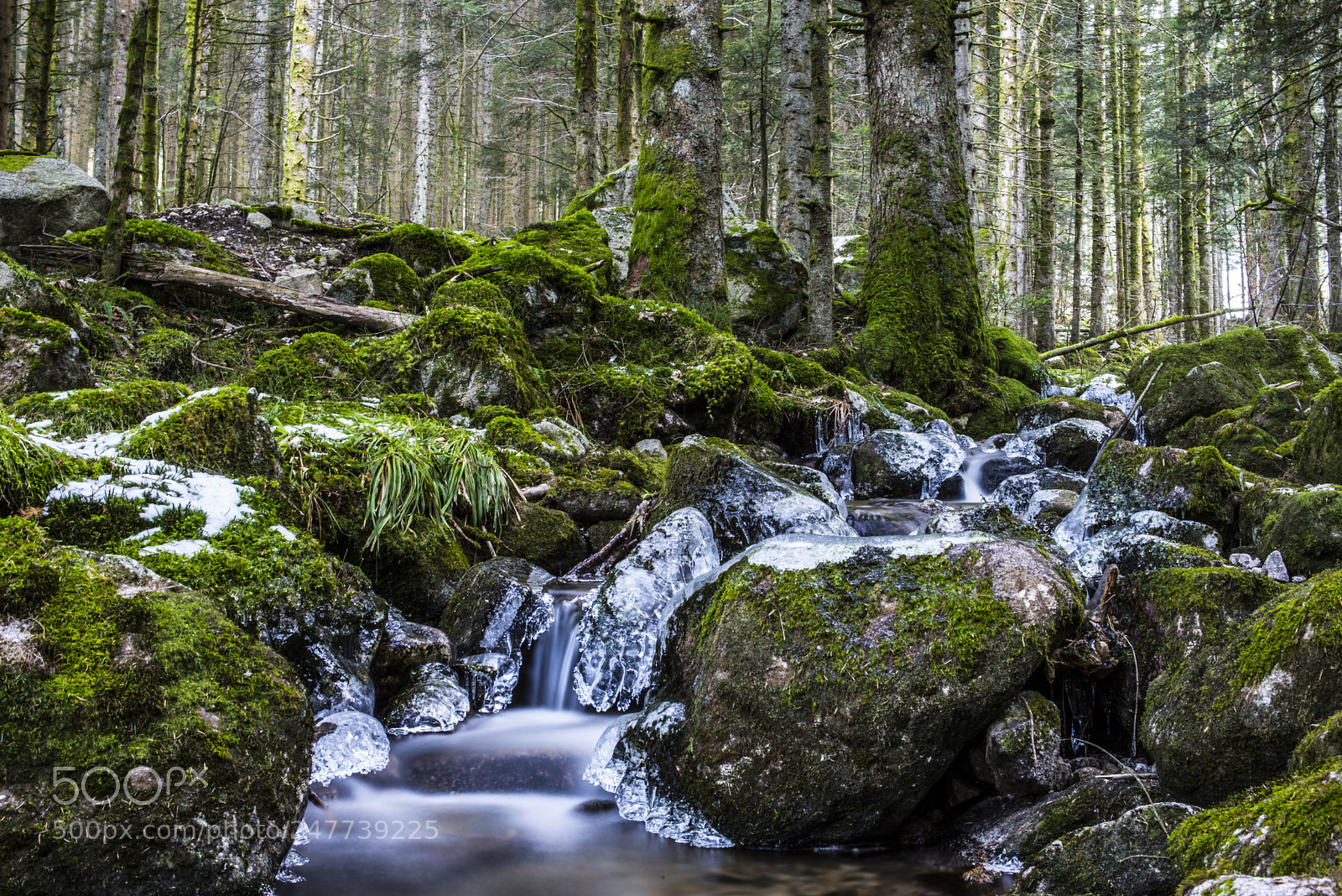 Nikon D610 sample photo. Cold creek photography