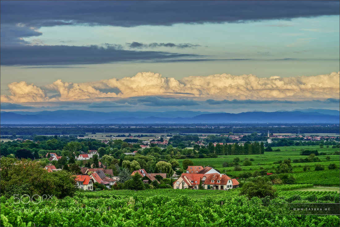 Sony a99 II sample photo. Alsace photography