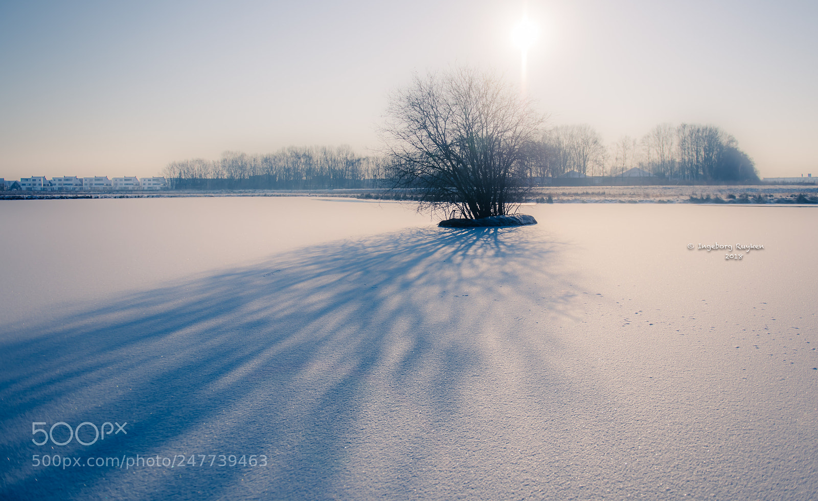 Nikon D800 sample photo. Empel - kanaalpark 3733 photography