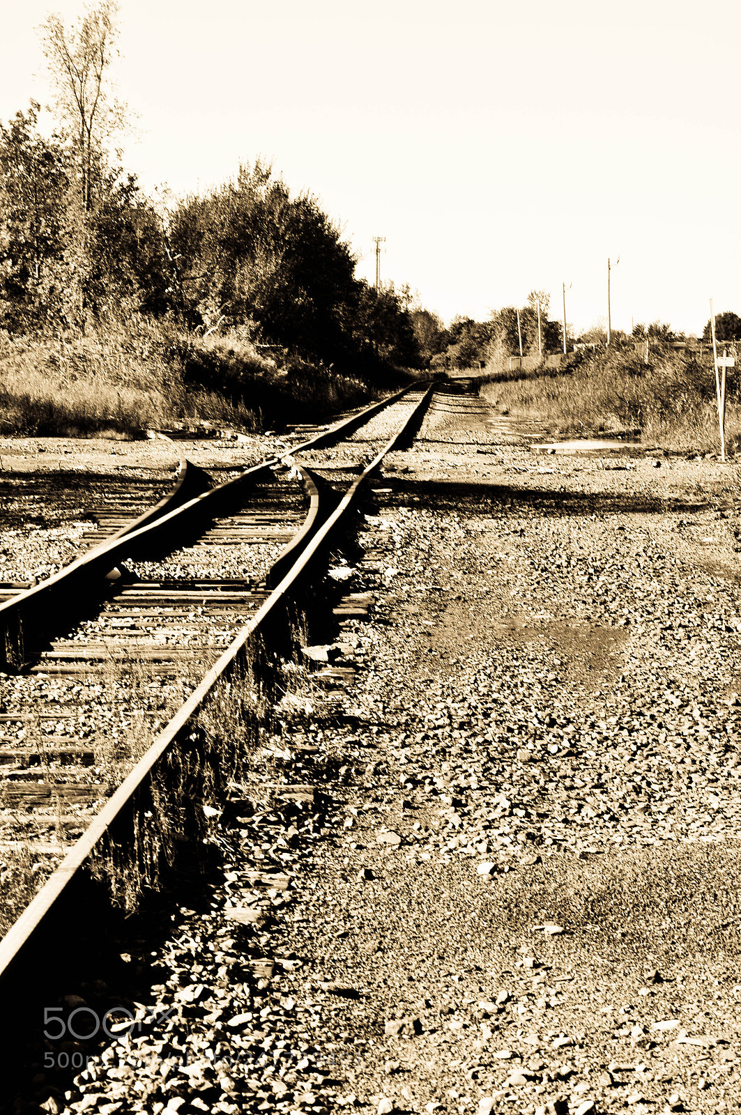 Nikon D5000 sample photo. Untitled photography