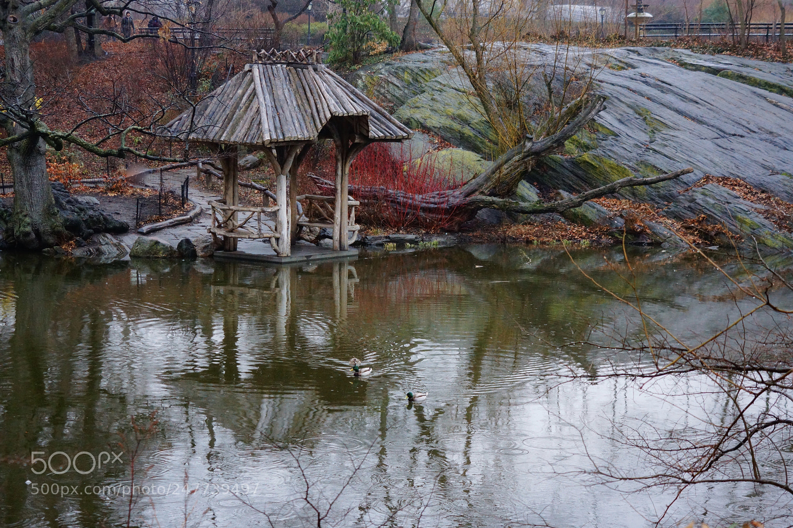 Sony Alpha NEX-7 sample photo. Wagner cove / central park photography