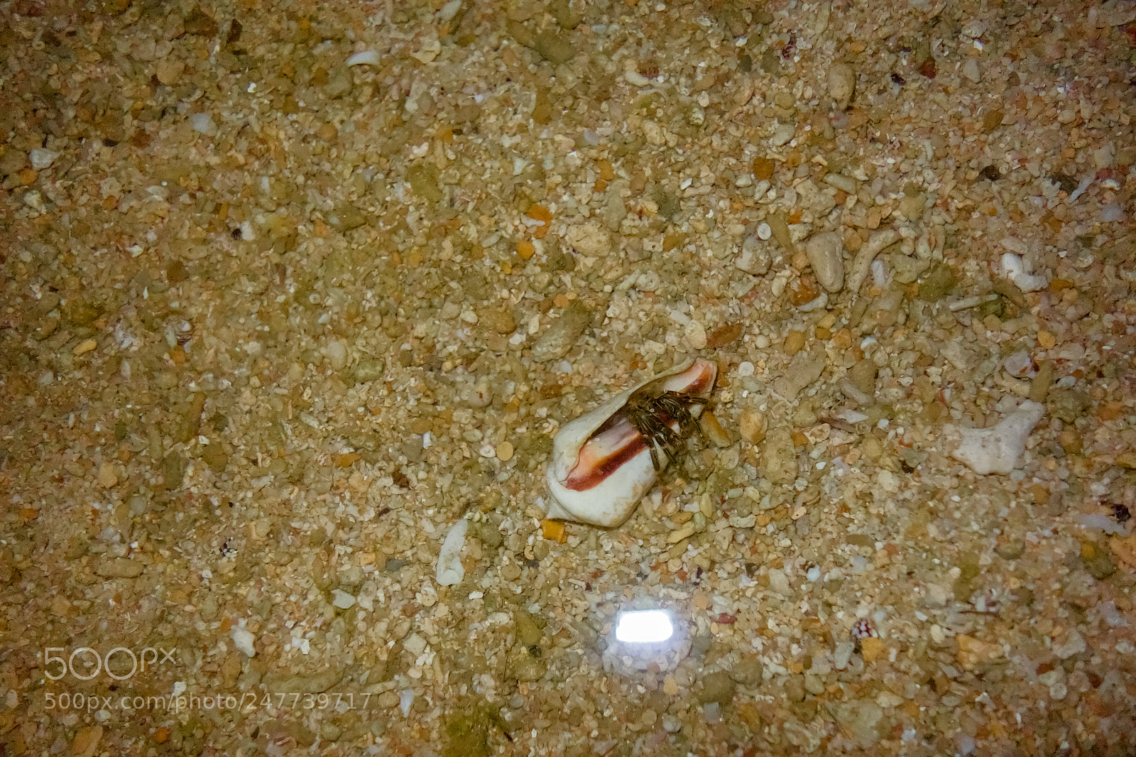 Sony Cyber-shot DSC-RX100 sample photo. 2015 el nido, palawan photography