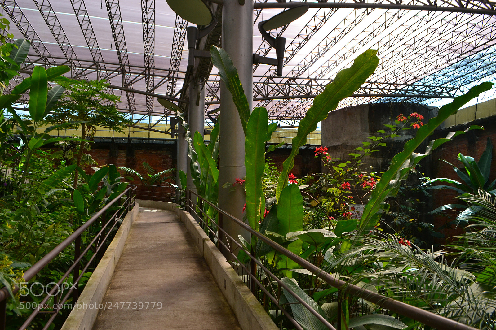 Nikon D3100 sample photo. The entrance. photography