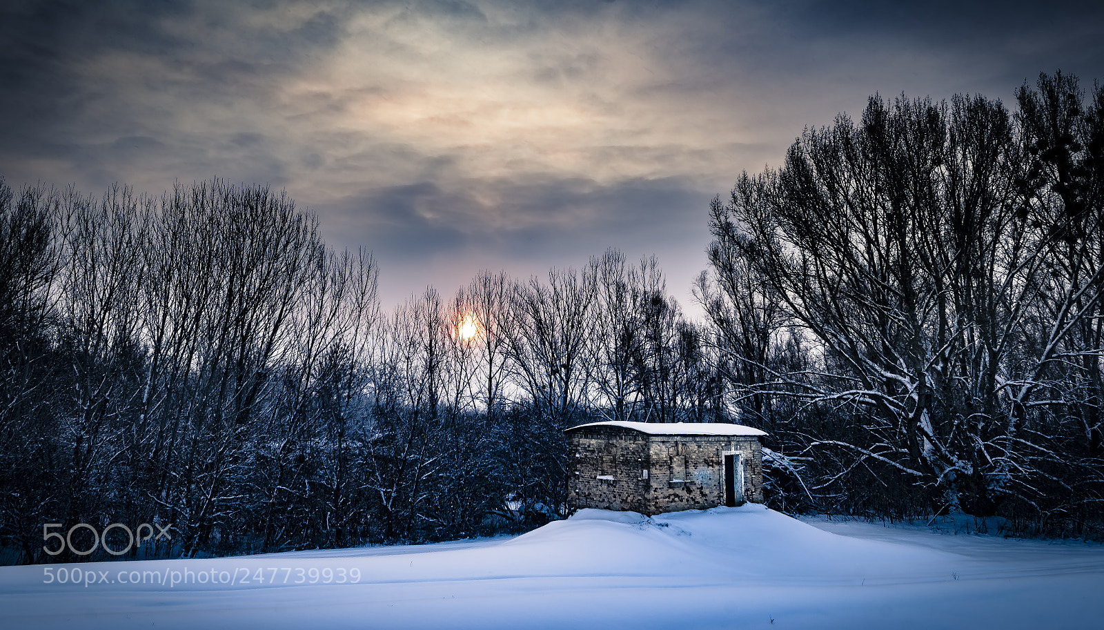 Nikon D610 sample photo. Good morning photography