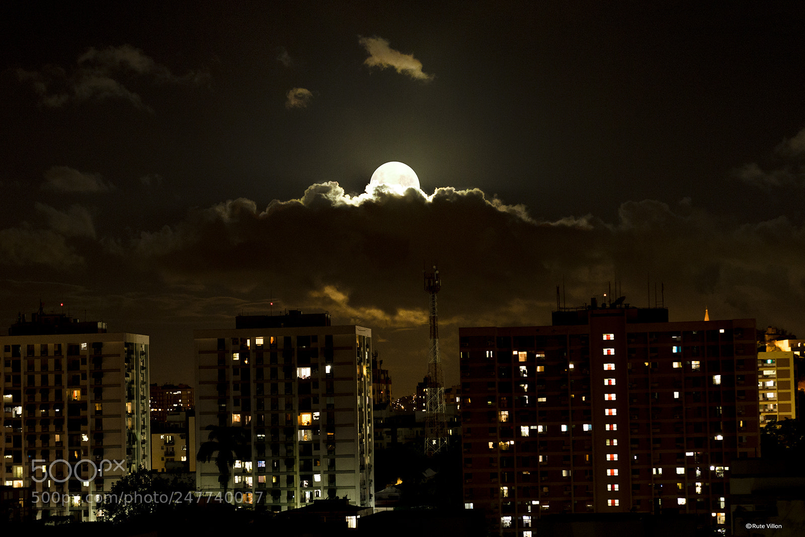 Nikon D610 sample photo. Untitled photography