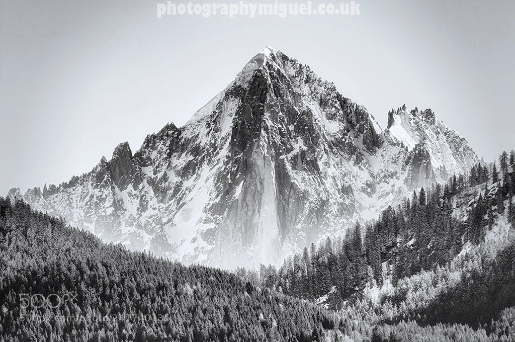 Nikon D300 sample photo. Aiguille verte green needle photography