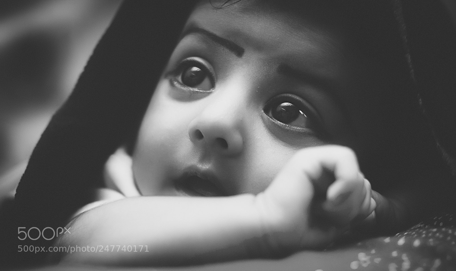Canon EOS 60D sample photo. Falgun photography