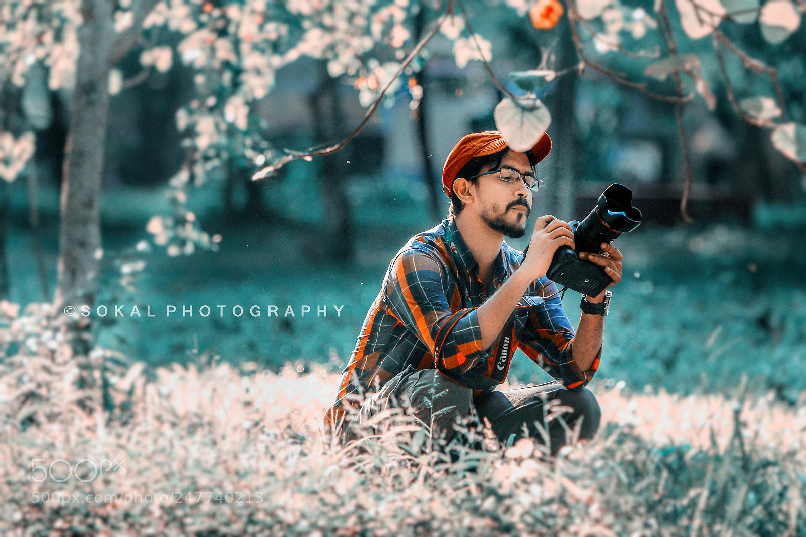 Canon EOS 60D sample photo. Falgun photography