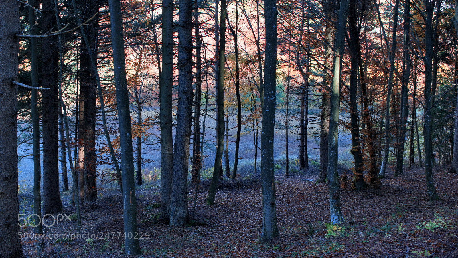 Canon EOS 650D (EOS Rebel T4i / EOS Kiss X6i) sample photo. Around cei lake photography