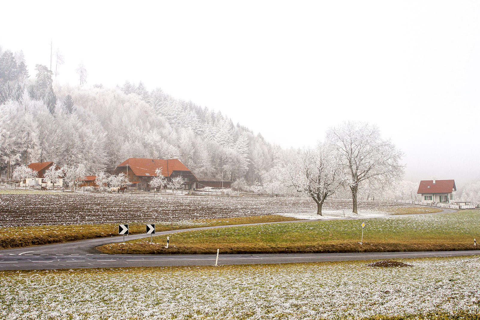 Sony a6300 sample photo. White cold winter photography