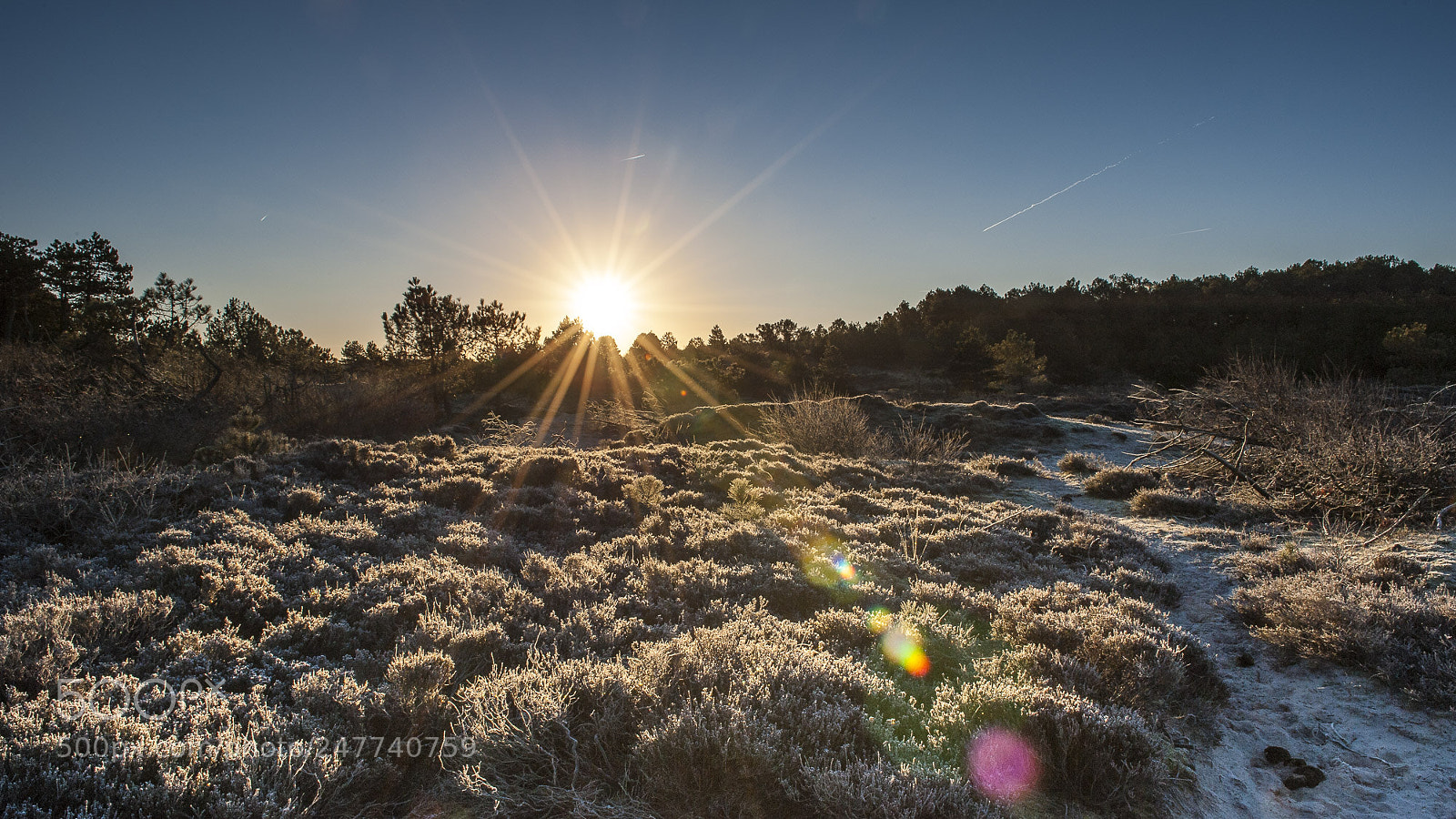 Nikon D700 sample photo. Sunrise over the frosty photography