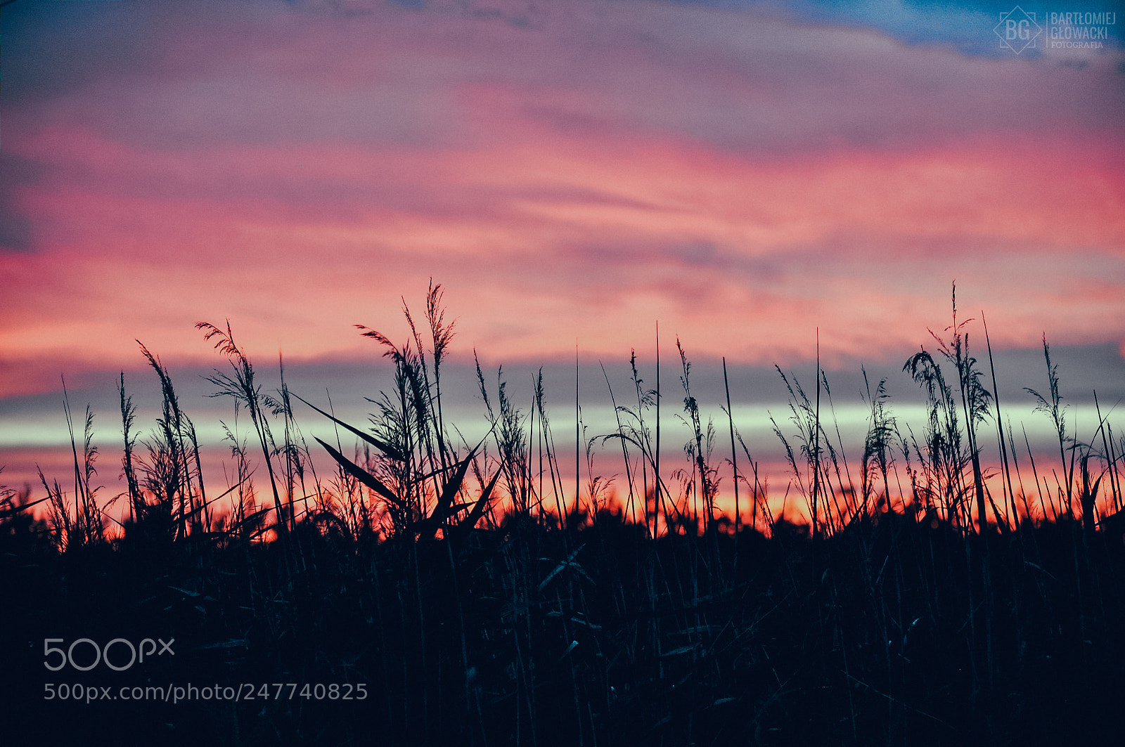 Nikon D5000 sample photo. Cereal during sunset photography