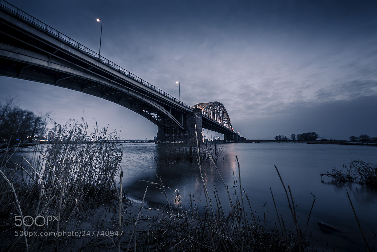 Nikon D810 sample photo. Early morning, beautiful color photography