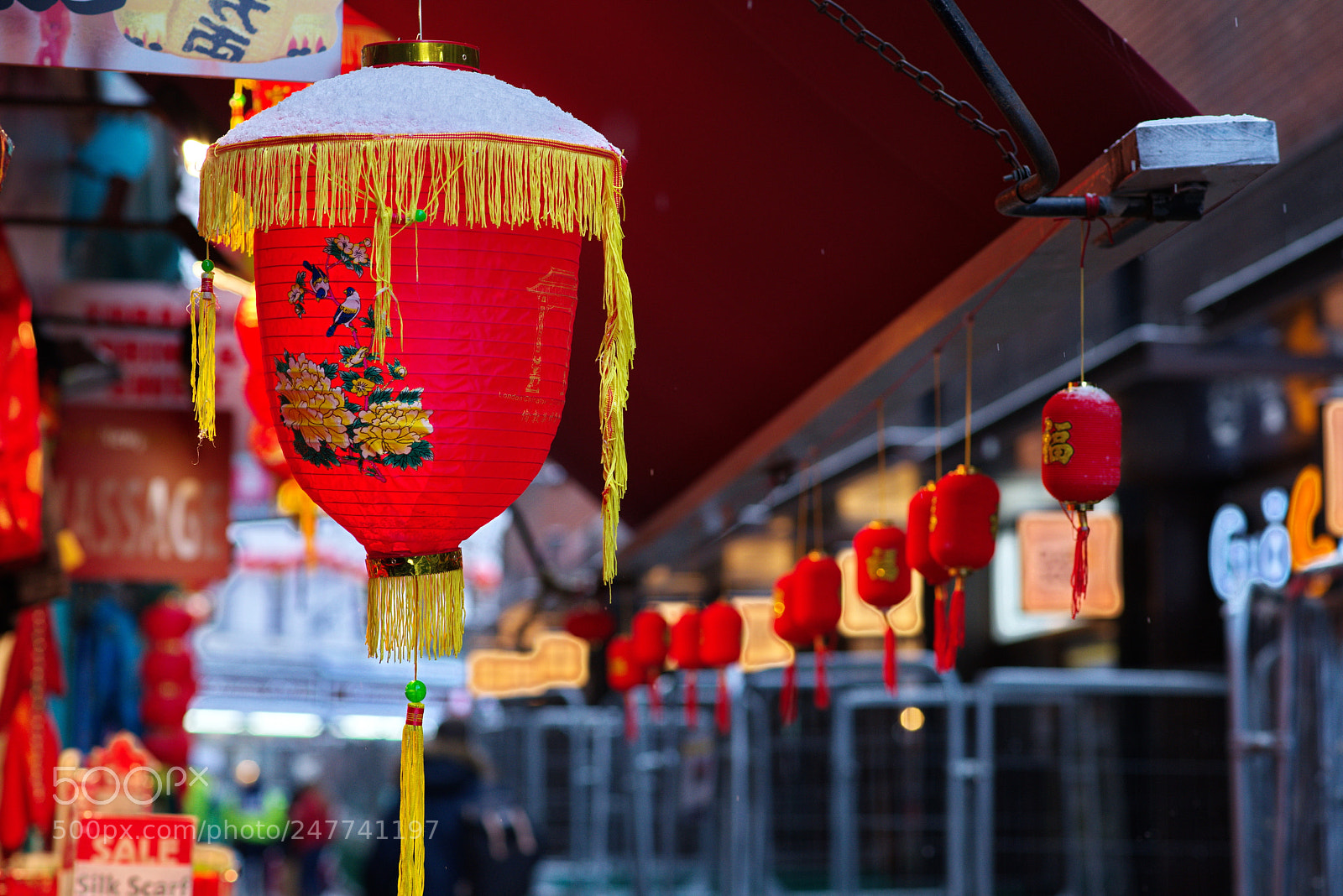 Nikon D800 sample photo. Ys photography