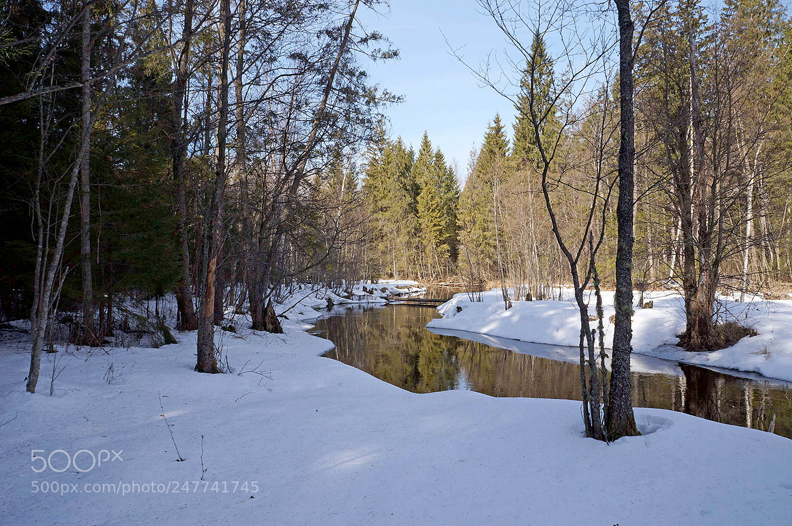 Sony Alpha NEX-F3 sample photo. Тверская область, речка Сиговка photography