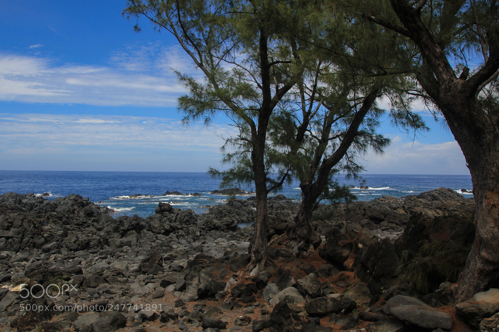 Canon EOS 550D (EOS Rebel T2i / EOS Kiss X4) sample photo. Beach photography