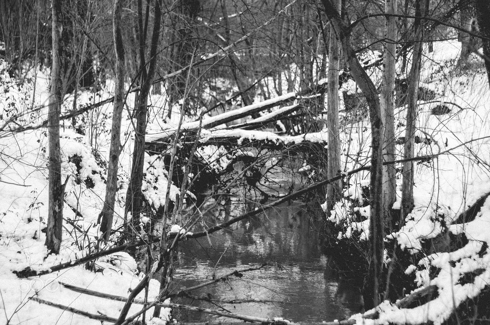 Nikon D50 sample photo. Lil snowy river photography
