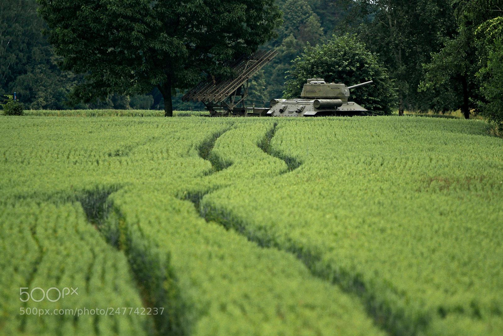 Canon EOS 7D sample photo. Field attack photography