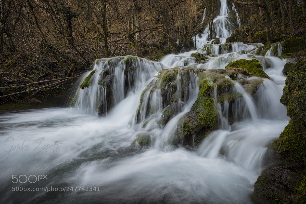Nikon D810 sample photo. Andoin ii photography