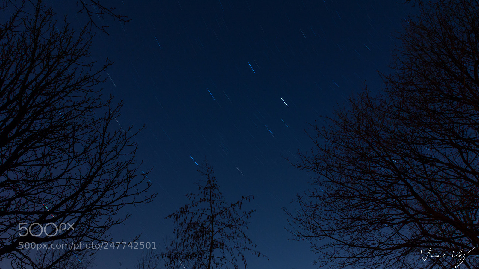 Nikon D5200 sample photo. Nightsky photography