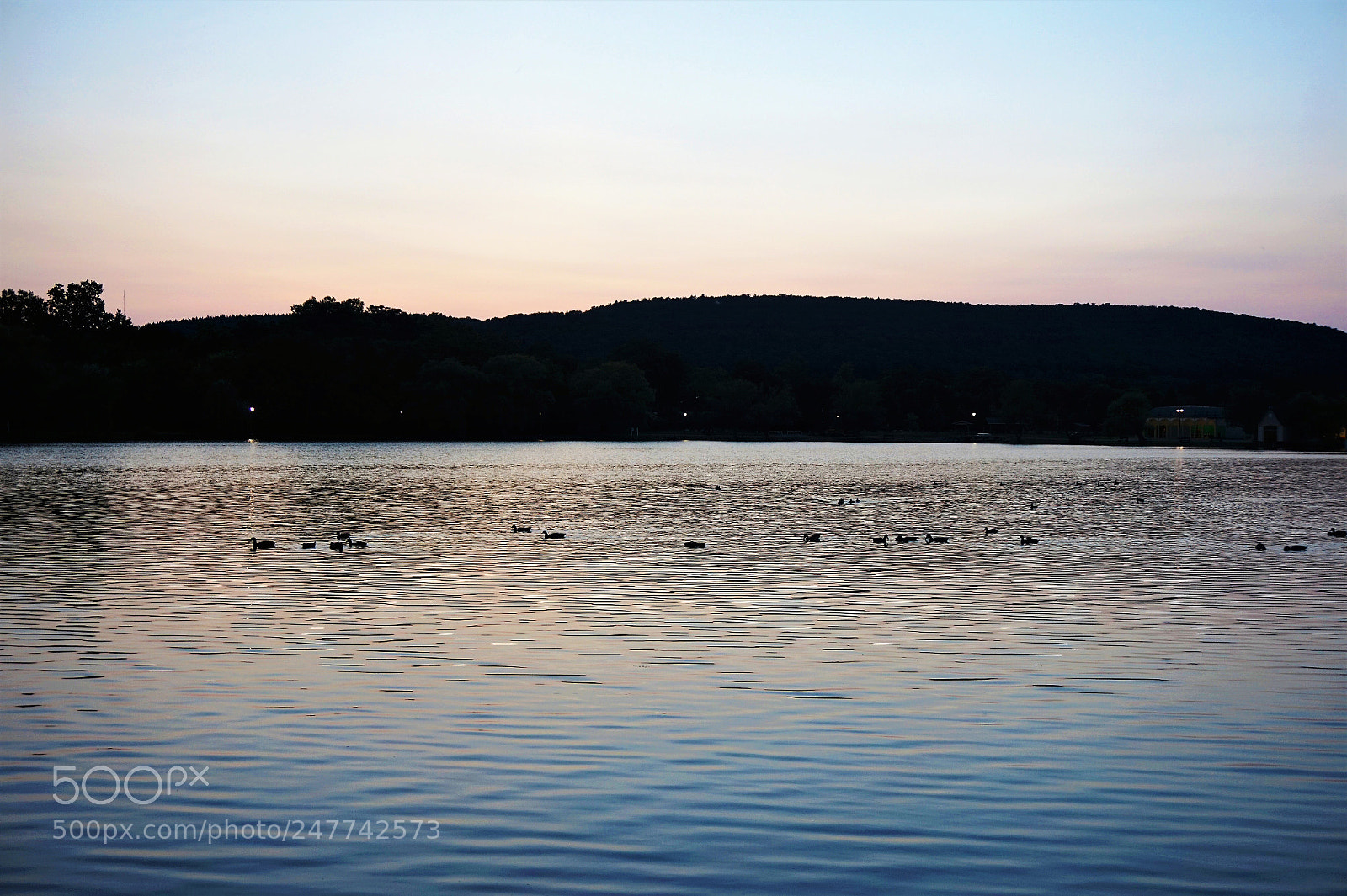 Sony Alpha a5000 (ILCE 5000) sample photo. Ripples of light photography