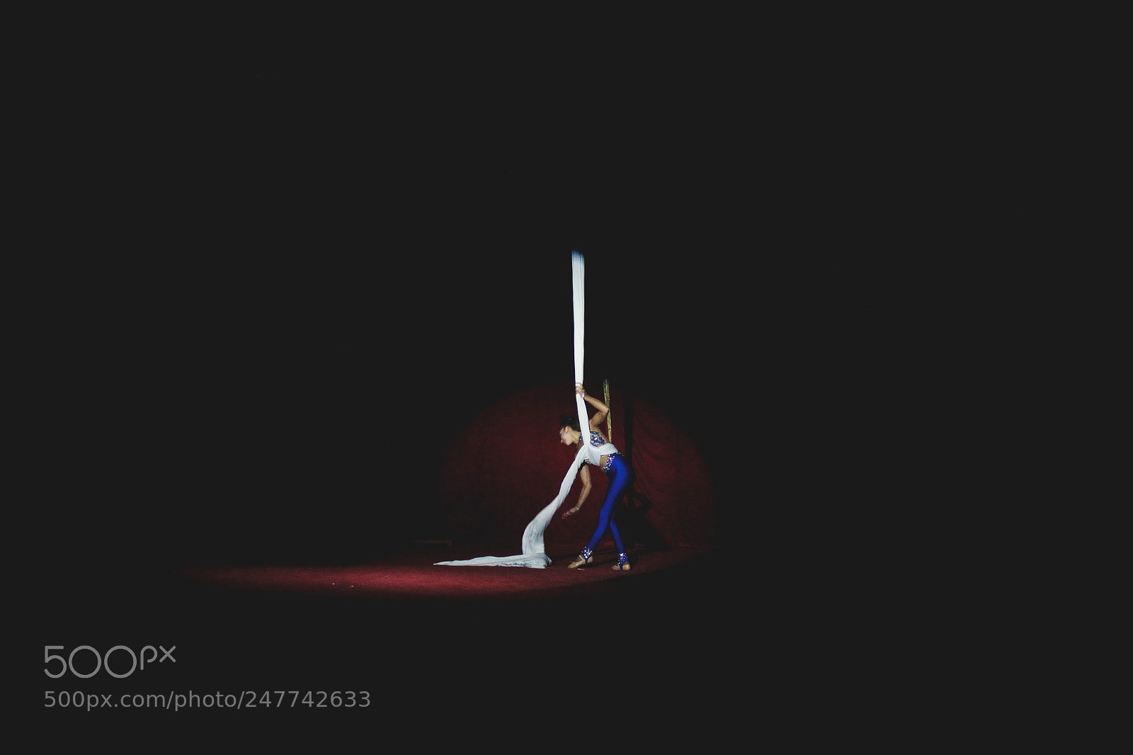 Canon EOS 600D (Rebel EOS T3i / EOS Kiss X5) sample photo. Mundo del circo photography