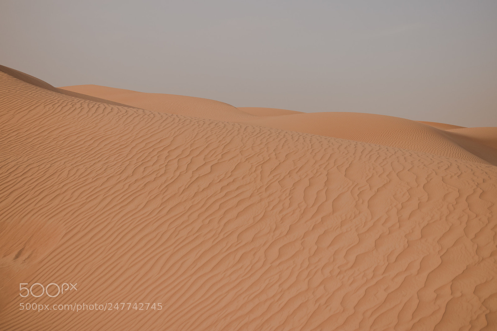 Canon EOS 80D sample photo. Sand. photography