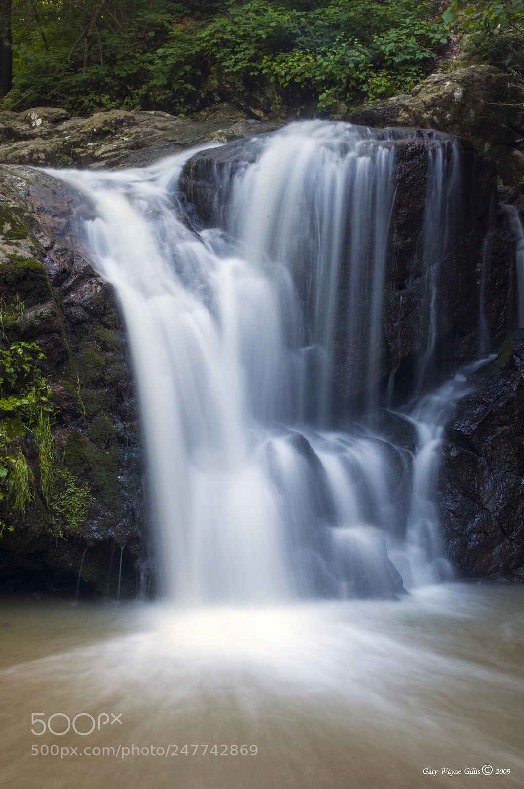 Nikon D300 sample photo. Cascade falls photography