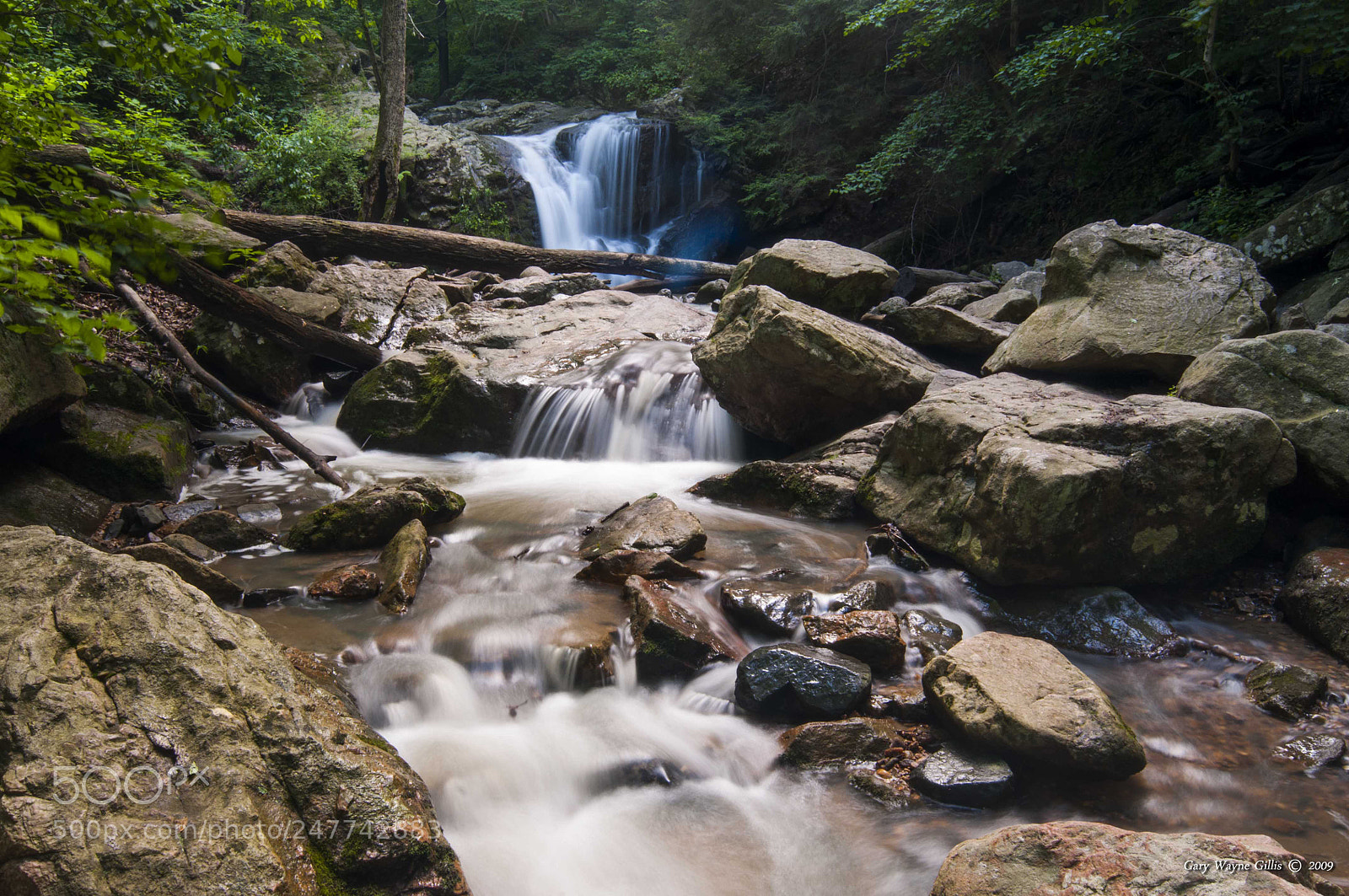 Nikon D300 sample photo. Cascade falls #2 photography