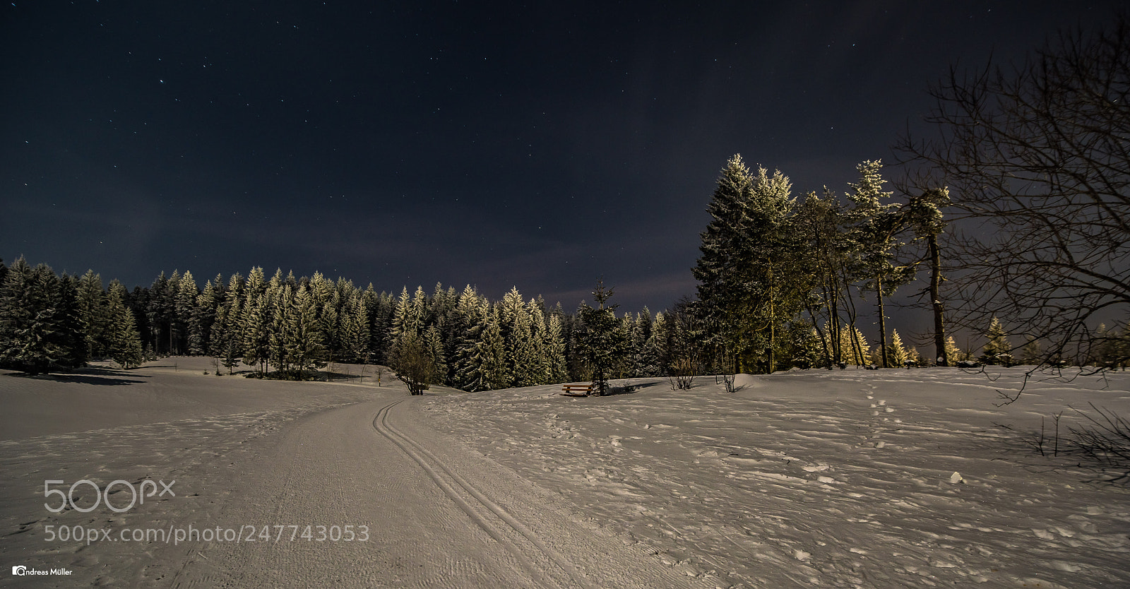 Nikon D810 sample photo. Moonlight photography