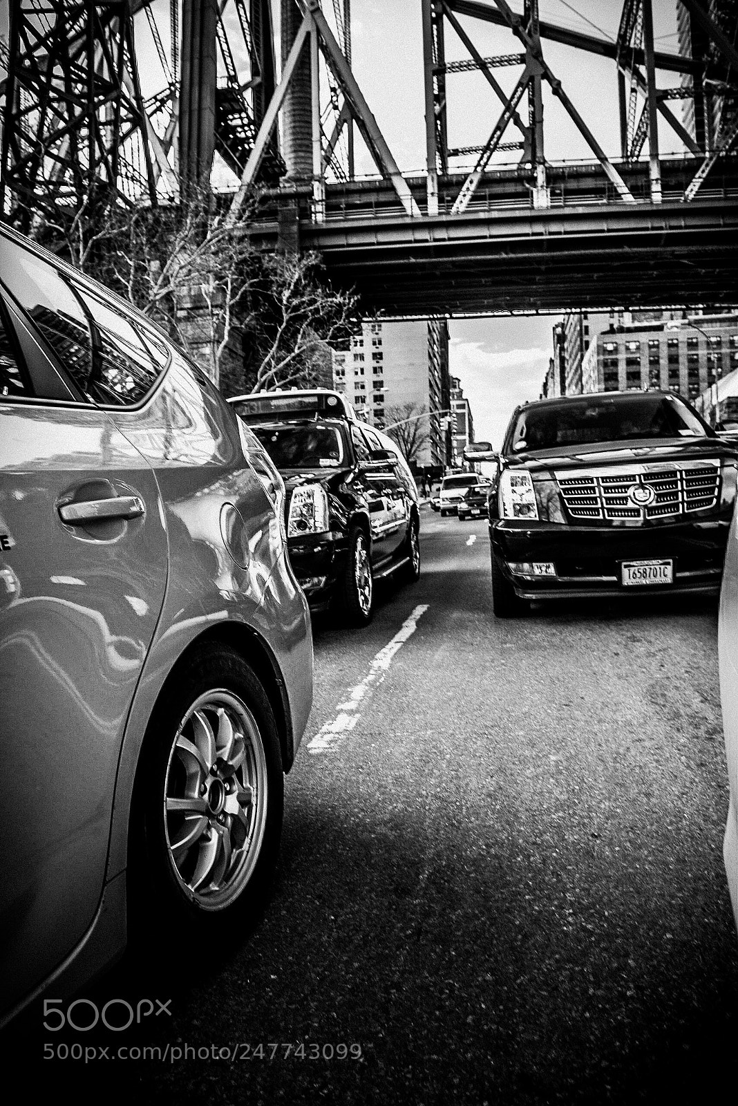Nikon D810 sample photo. Nyvip photography