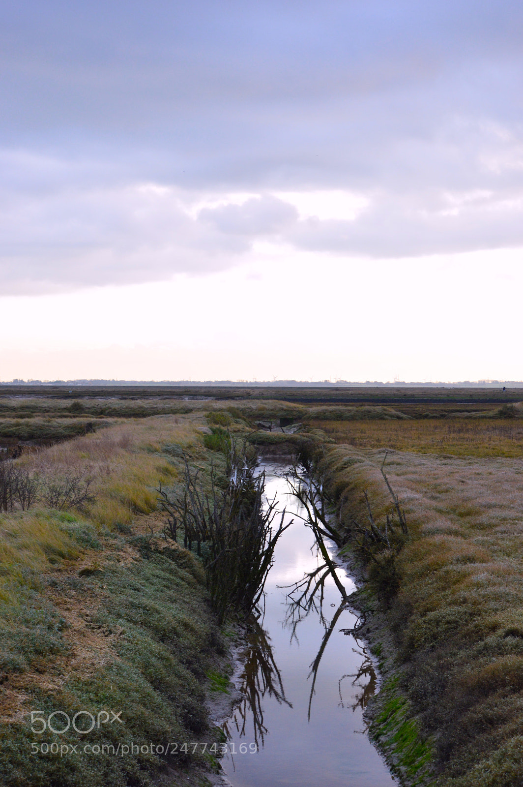 Nikon D3200 sample photo. Great wigborough photography