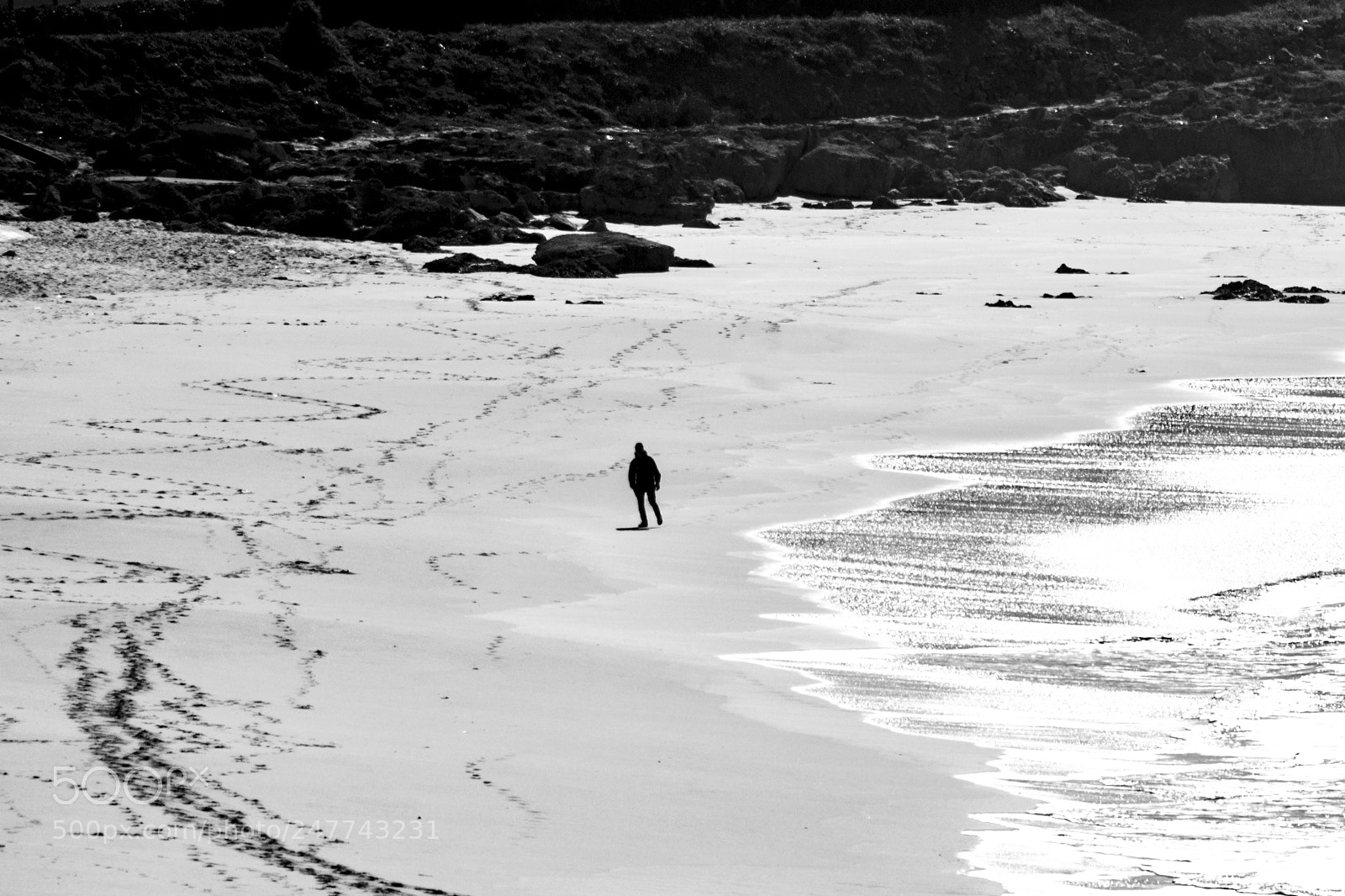 Pentax K-5 sample photo. Alone photography