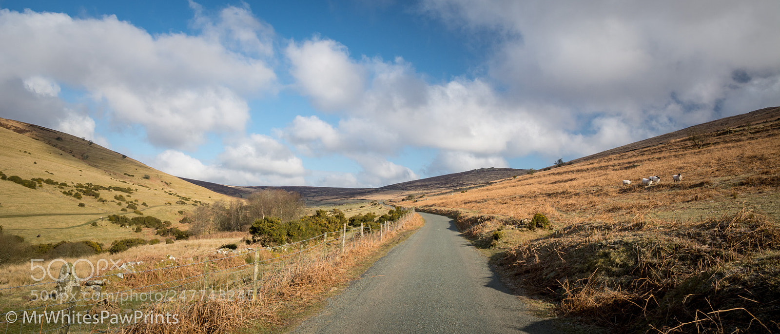 Nikon D7100 sample photo. Challacombe, dartmoor photography