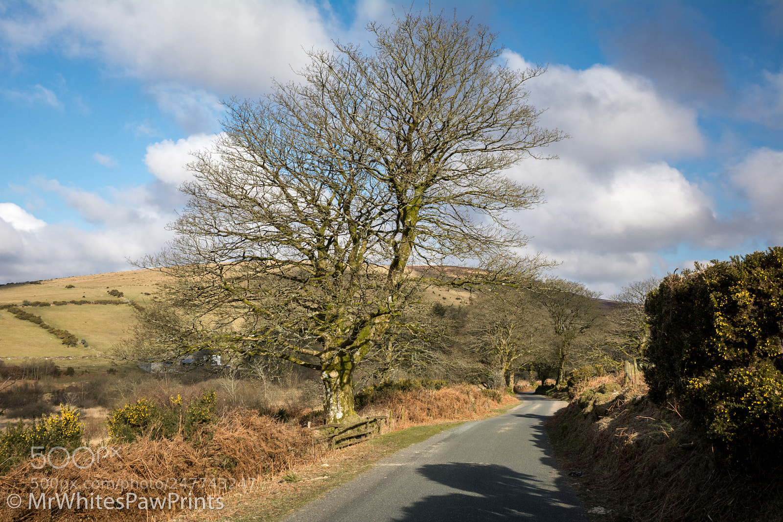 Nikon D7100 sample photo. Challacombe, dartmoor photography