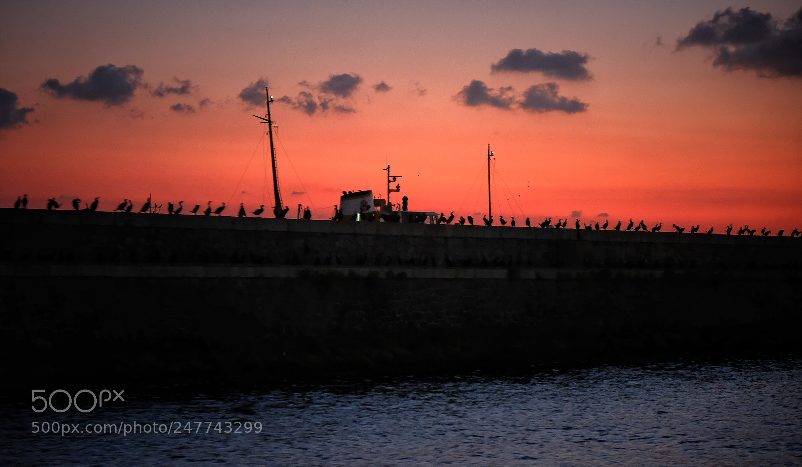 Fujifilm X-Pro2 sample photo. ? photography