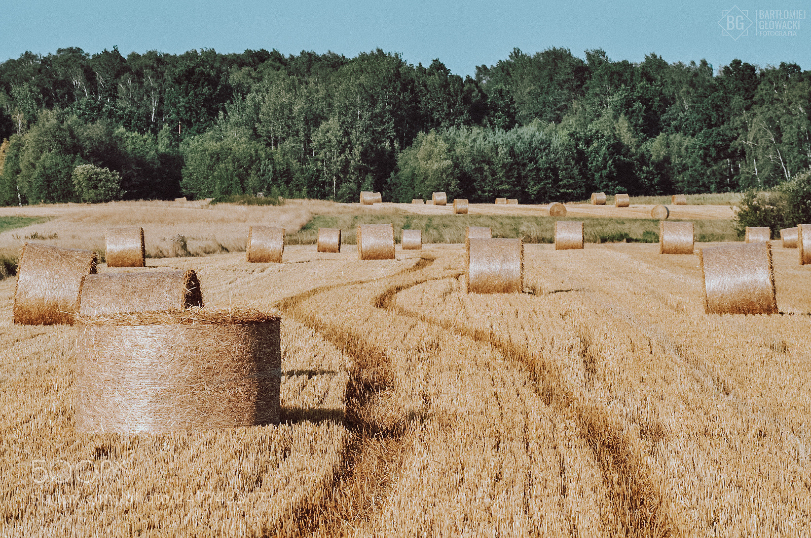 Nikon D5000 sample photo. Hay bales in farm photography