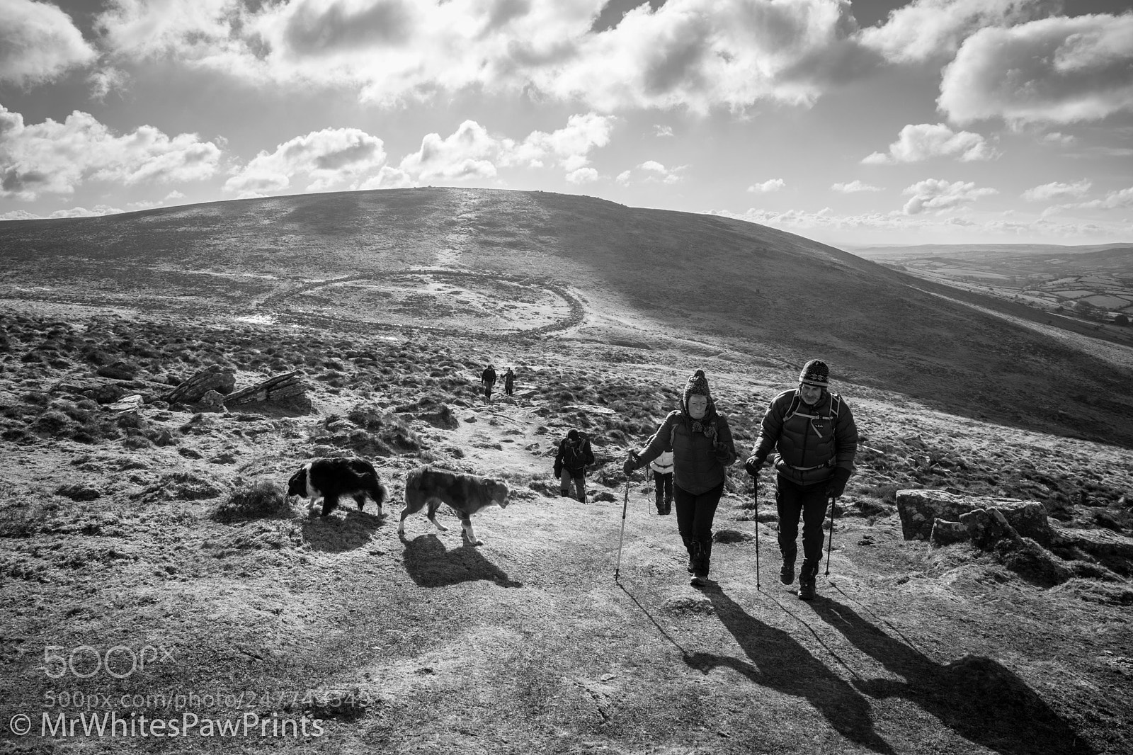 Nikon D7100 sample photo. Walking up to hookney photography