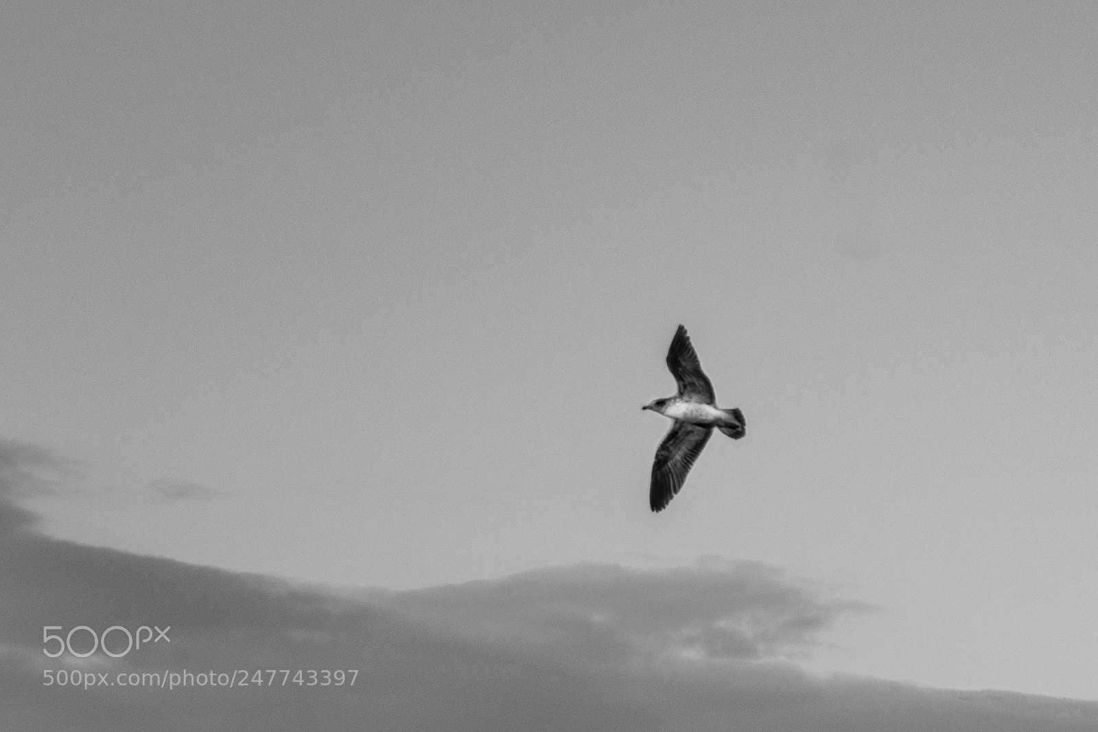 Pentax K-5 sample photo. Alone in the sky photography