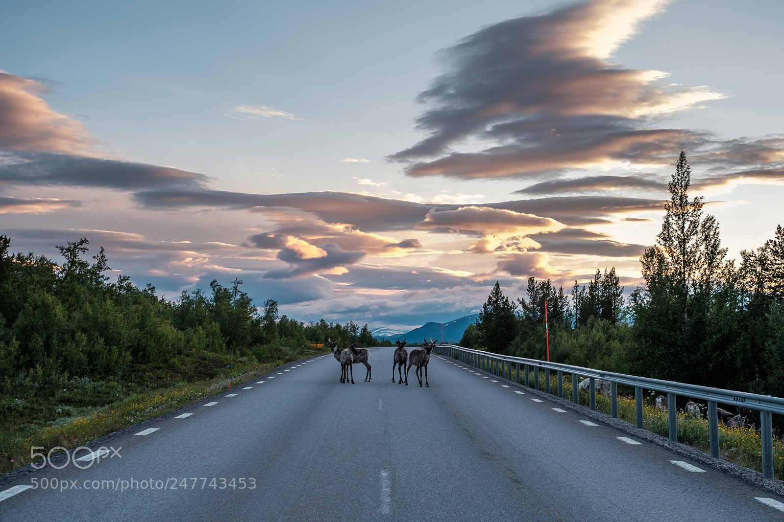 Fujifilm X-Pro2 sample photo. Towards north pole photography