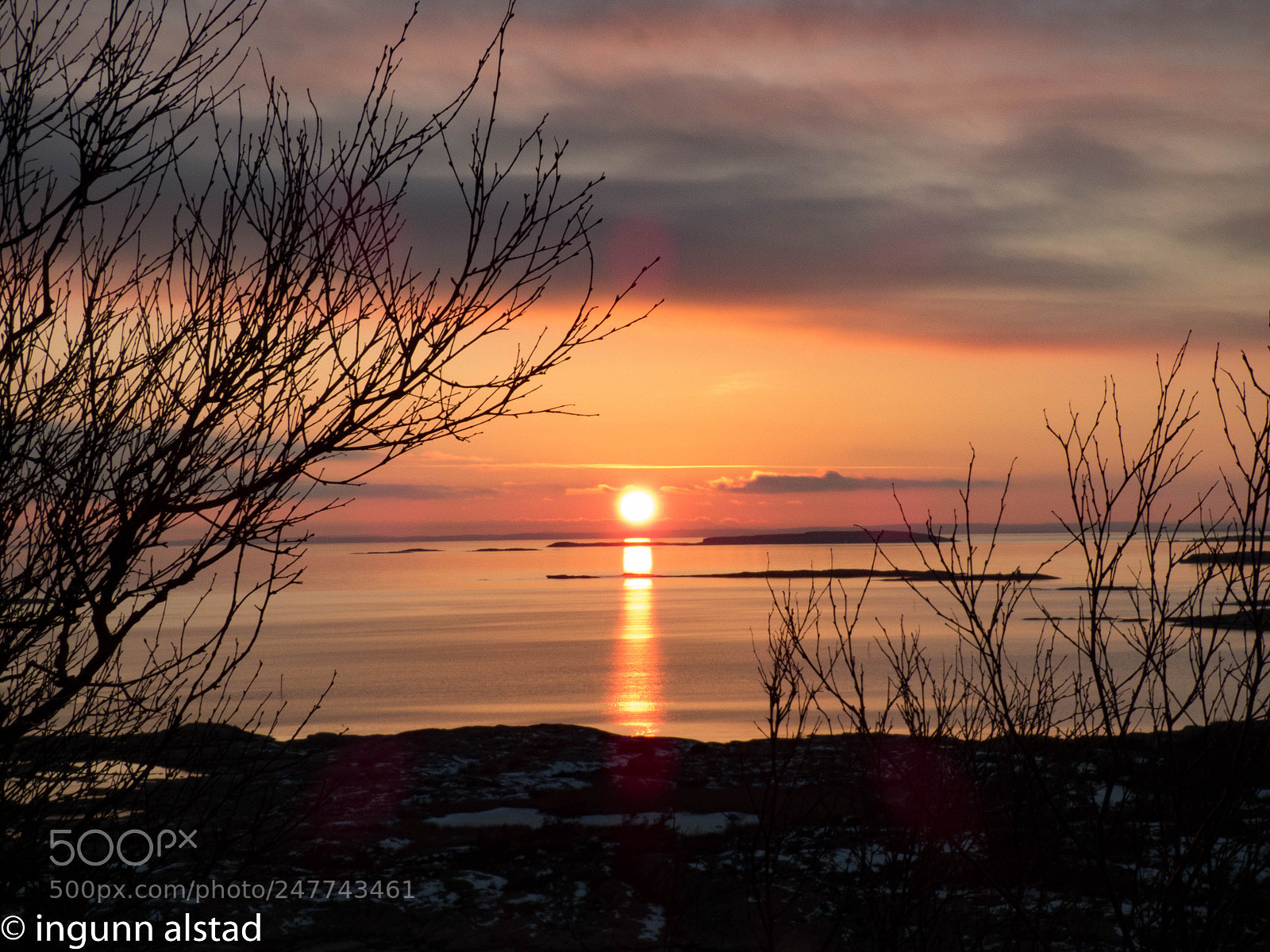 Panasonic DMC-FZ72 sample photo. Sunset at blåsopp photography
