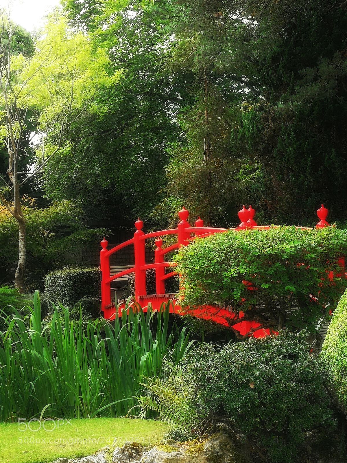 HUAWEI P10 sample photo. Ireland japanese gardens photography