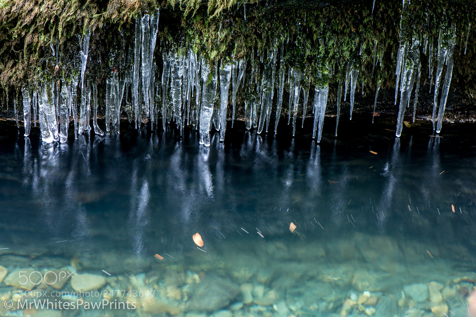 Nikon D7100 sample photo. Icicles at lydford gorge photography