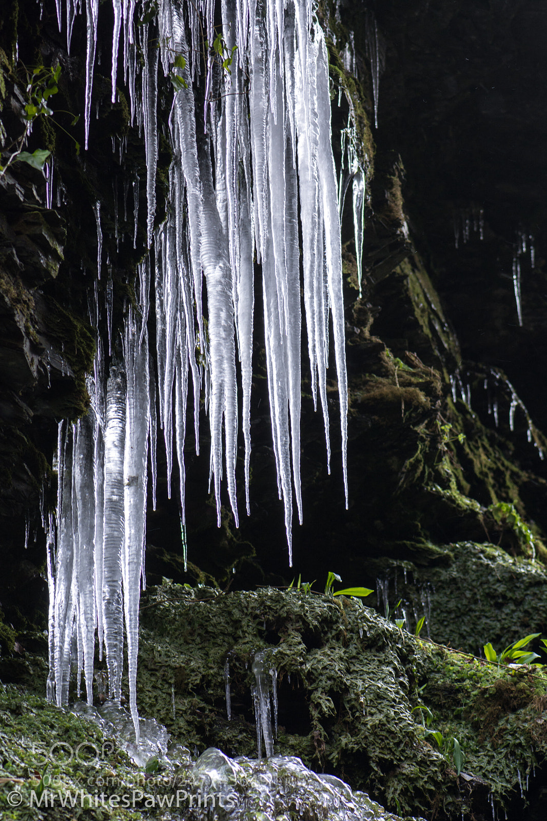 Nikon D7100 sample photo. Icicles at lydford gorge photography