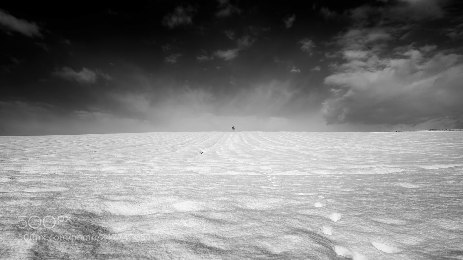 Nikon D7200 sample photo. Dreamy white photography