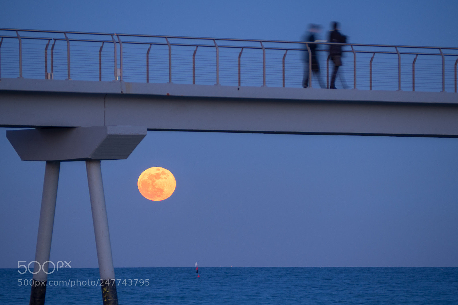 Olympus OM-D E-M10 II sample photo. Supermoon photography
